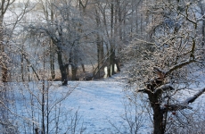 Auf dem Weg zum Czorneboh1