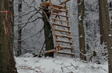 Czorneboh_F__rster ist sich aufw__rmen gegangen