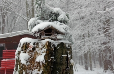 Czorneboh_Vogelschutzh__tte im Winter