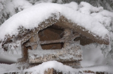 Czorneboh_Vogelschutzh__tte im Winter1